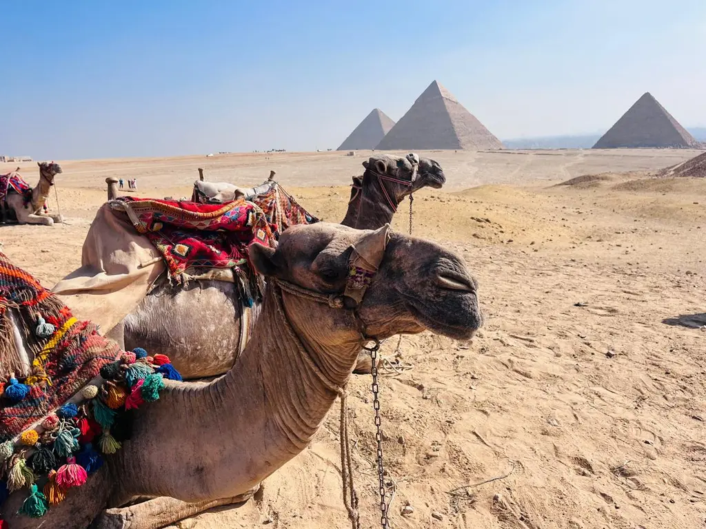 Traveler on the Egypt Experience 12-day tour