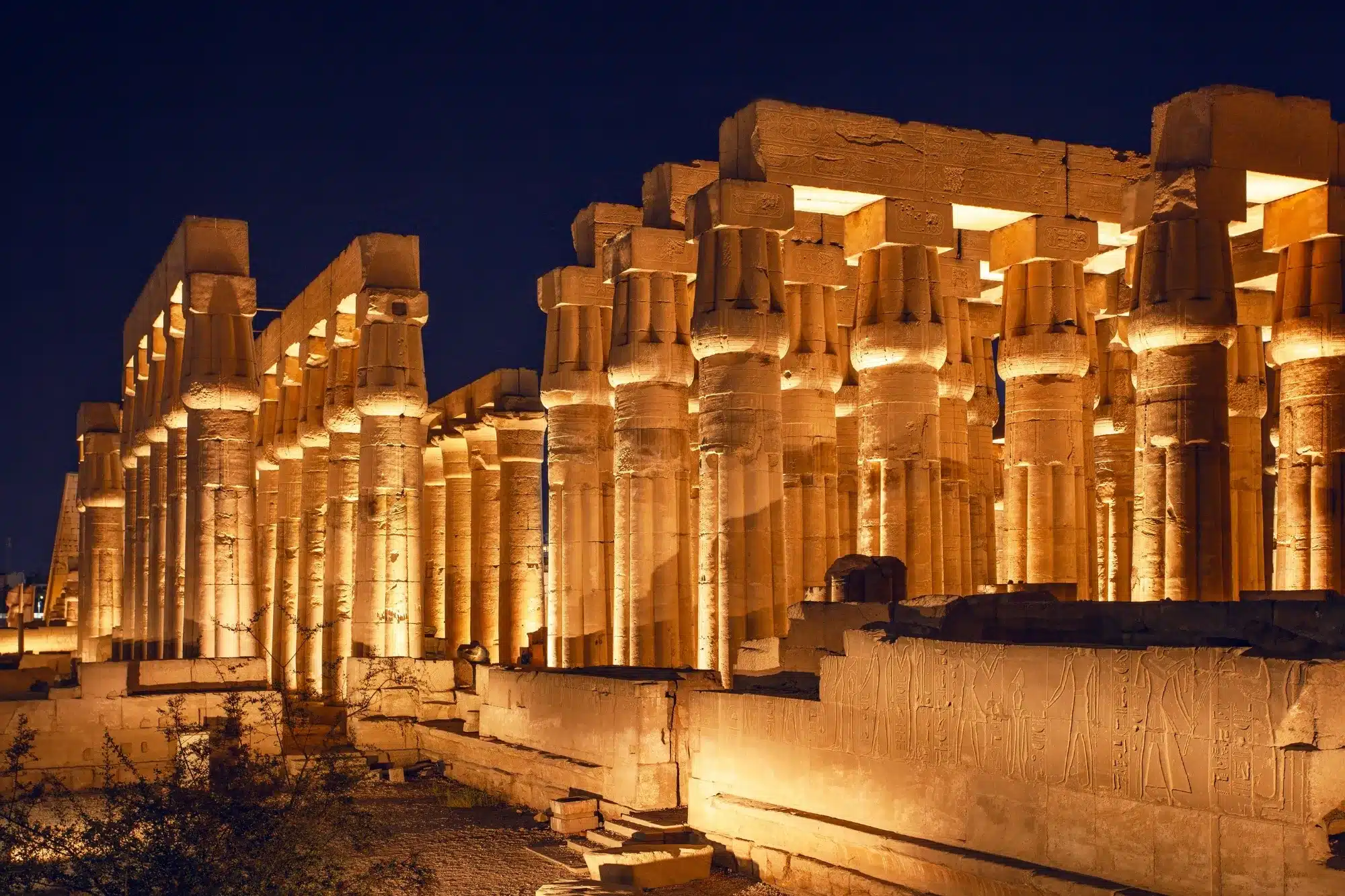 Night Tours